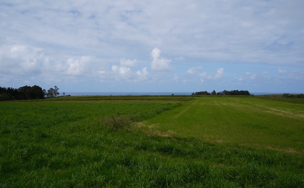 la_collada_rasa-costera